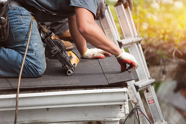 Best Gutter Installation and Roofing  in Punta Rassa, FL